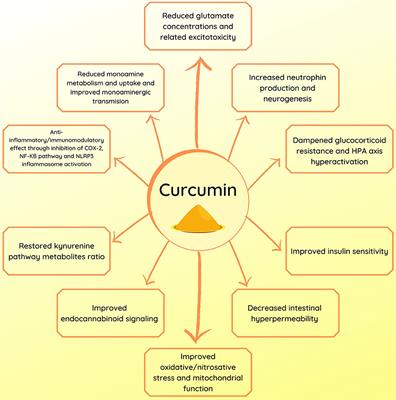 Curcumin Research